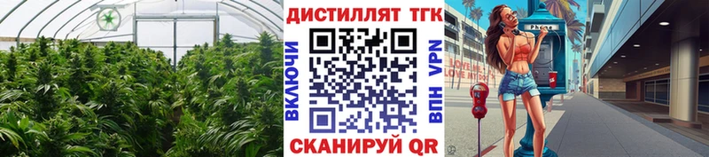 магазин наркотиков Лукоянов Дистиллят ТГК THC oil